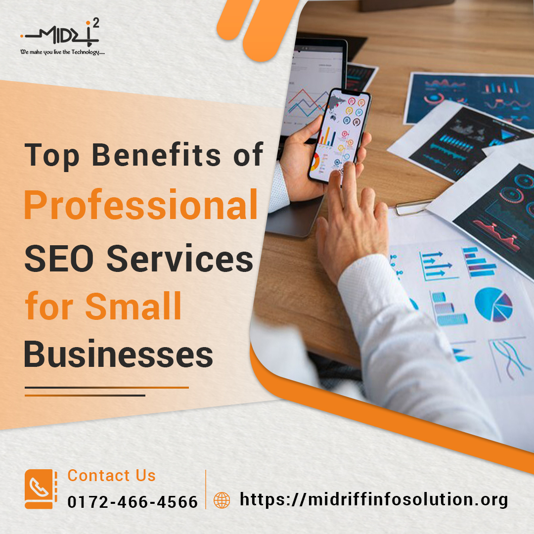 Top Benefits of Professional SEO Services for Small Businesses