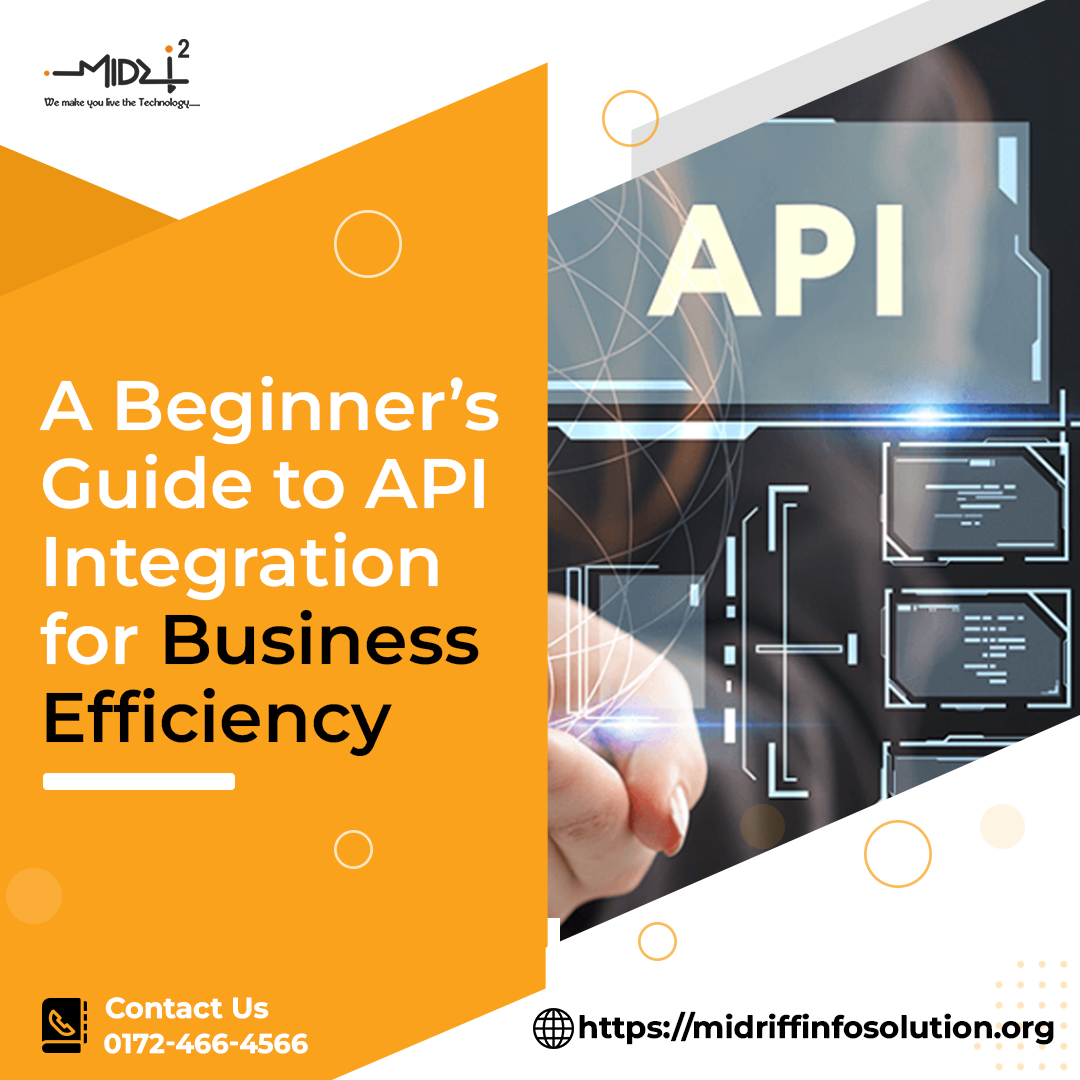 API Integration Business