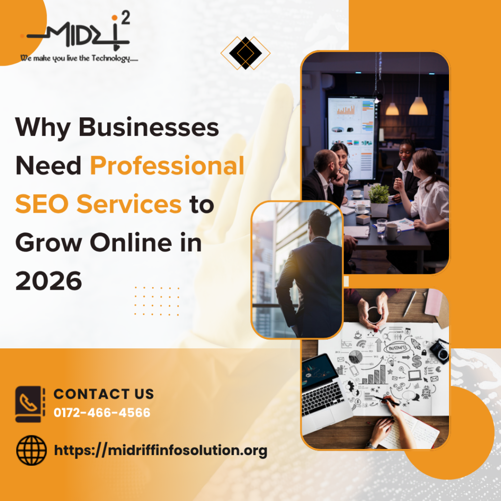 Professional Seo Services
